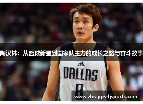 陶汉林:从篮球新星到国家队主力的成长之路与奋斗故事